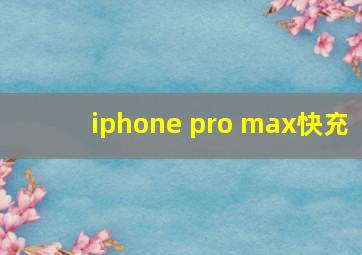 iphone pro max快充